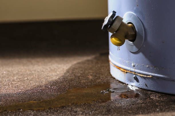 Reliable Parsippany, NJ Water damage restoration Solutions