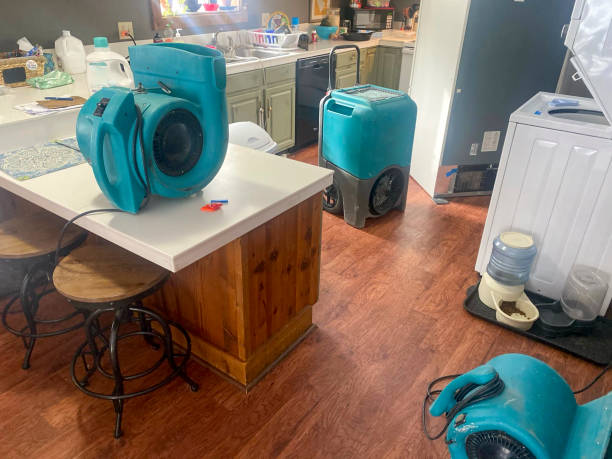 Best Carpet water damage restoration  in Parsippany, NJ