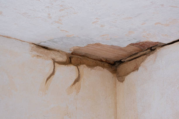 Best Water damage restoration mold remediation  in Parsippany, NJ