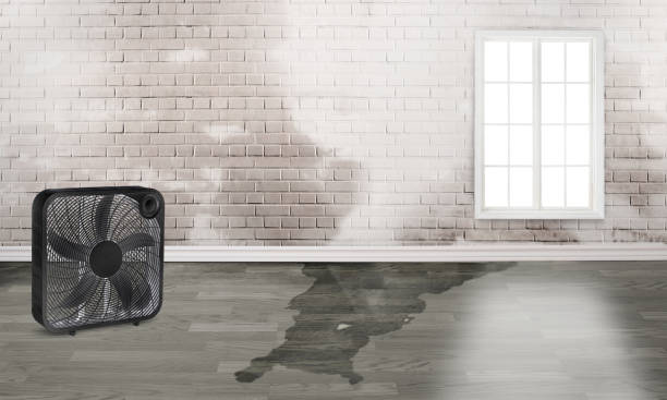 Best Sewage cleanup and water damage restoration  in Parsippany, NJ