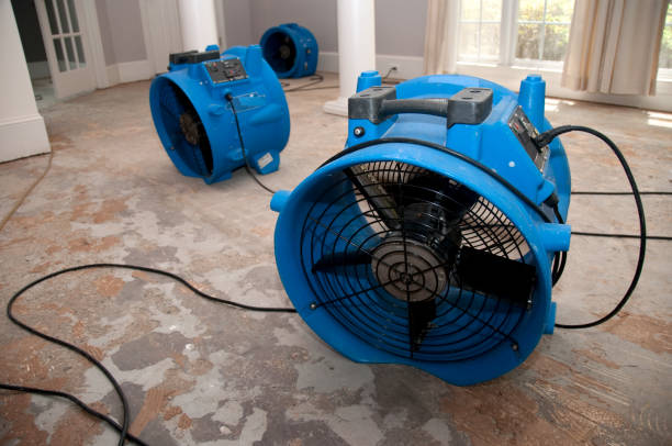 Best Local water damage restoration  in Parsippany, NJ