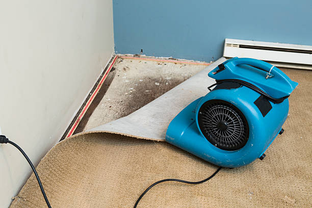 Best Professional water damage repair  in Parsippany, NJ